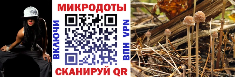 Галлюциногенные грибы Cubensis  даркнет сайт  Невьянск 